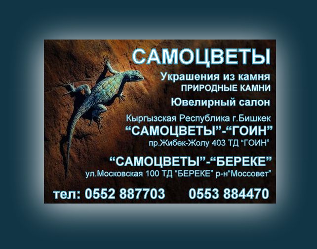 zion-lizard_2071_600x450 - копия-001.jpg